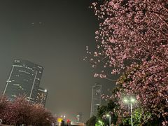 -天河体育中心