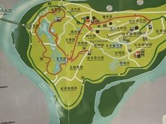 -中国科学院西双版纳热带植物园