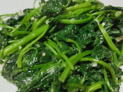 蒜蓉炒番薯叶-新兴·金羊座·粤菜点心(乐峰店)