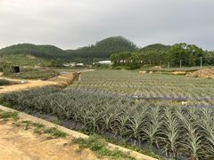 -颐和澜悦欢乐水世界(原颐和温泉城)