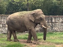 -西安秦岭野生动物园