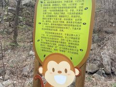 -大岭沟猕猴桃谷风景区