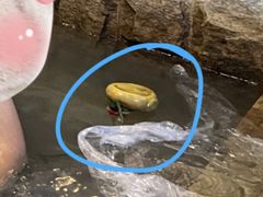 -北京美神宫艺术主题温泉酒店