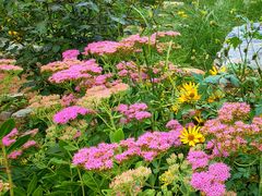 -国家植物园南园