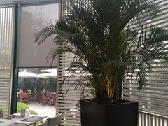 -金海湾自助餐厅(金陵饭店)