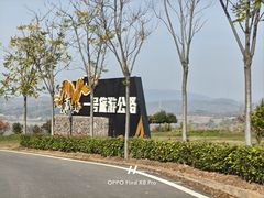 -黄河小浪底水利枢纽风景区