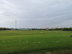 -棕榈滩海景高尔夫俱乐部