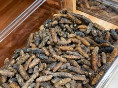 -宫品海参专卖店(静安大宁店)