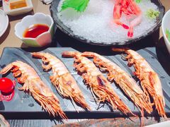 斑节虾-鲤·鮨KOISUSHI