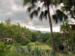 -四季酒店下午茶