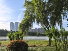 -滨湖塘西河公园