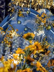 点击看大图 -红丝高端婚礼中心(旗舰店)