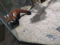 -海合安武汉极地海洋公园