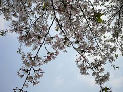 -白塘生态植物园