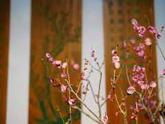 -苏州上方山国家森林公园