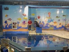 -太平洋海底世界