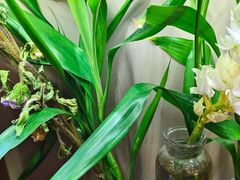 -街角 T·COFFEE 融合料理·BISTRO(车公庙店)