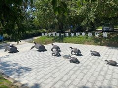 -广东惠东海龟国家级自然保护区