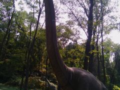 -原山国家森林公园