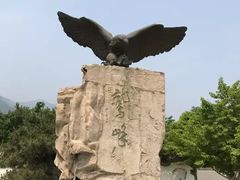 -北京鹫峰国家森林公园