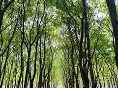 -嘉北郊野公园