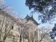 -武汉大学-樱园