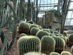 -南山植物园