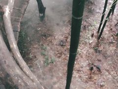 景点-竹泉村旅游度假区