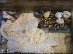 -双季花艺园艺市场(浦东店)