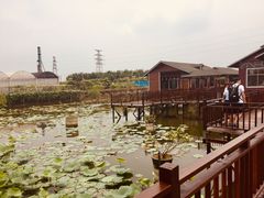 -翔雄农庄