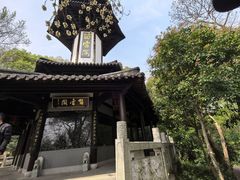 -上海佘山国家森林公园天马山园