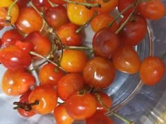 -东方鼎信农副产品交易中心