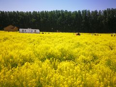 -天津武清北运河郊野公园房车露营地