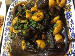 野生鳝鱼-观桥阁(锦溪店)