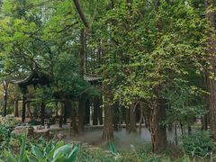 -东湖落雁景区