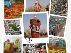 -南宫五洲植物乐园