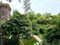 -思念果岭悦温泉