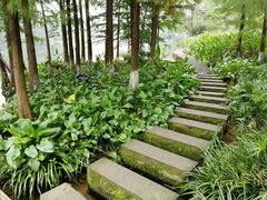 -重庆彩云湖湿地公园
