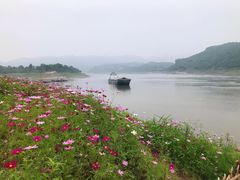 -木洞河街