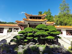 -深圳仙湖植物园