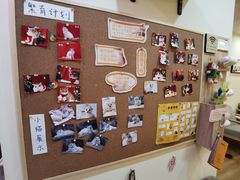 -滚猫咖啡·猫咖·猫友好撸猫(未来城店)