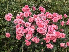 -下沉广场(羊坊店街道)