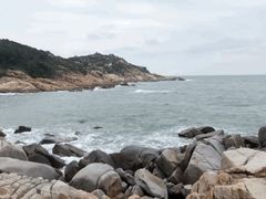 -广东惠东海龟国家级自然保护区