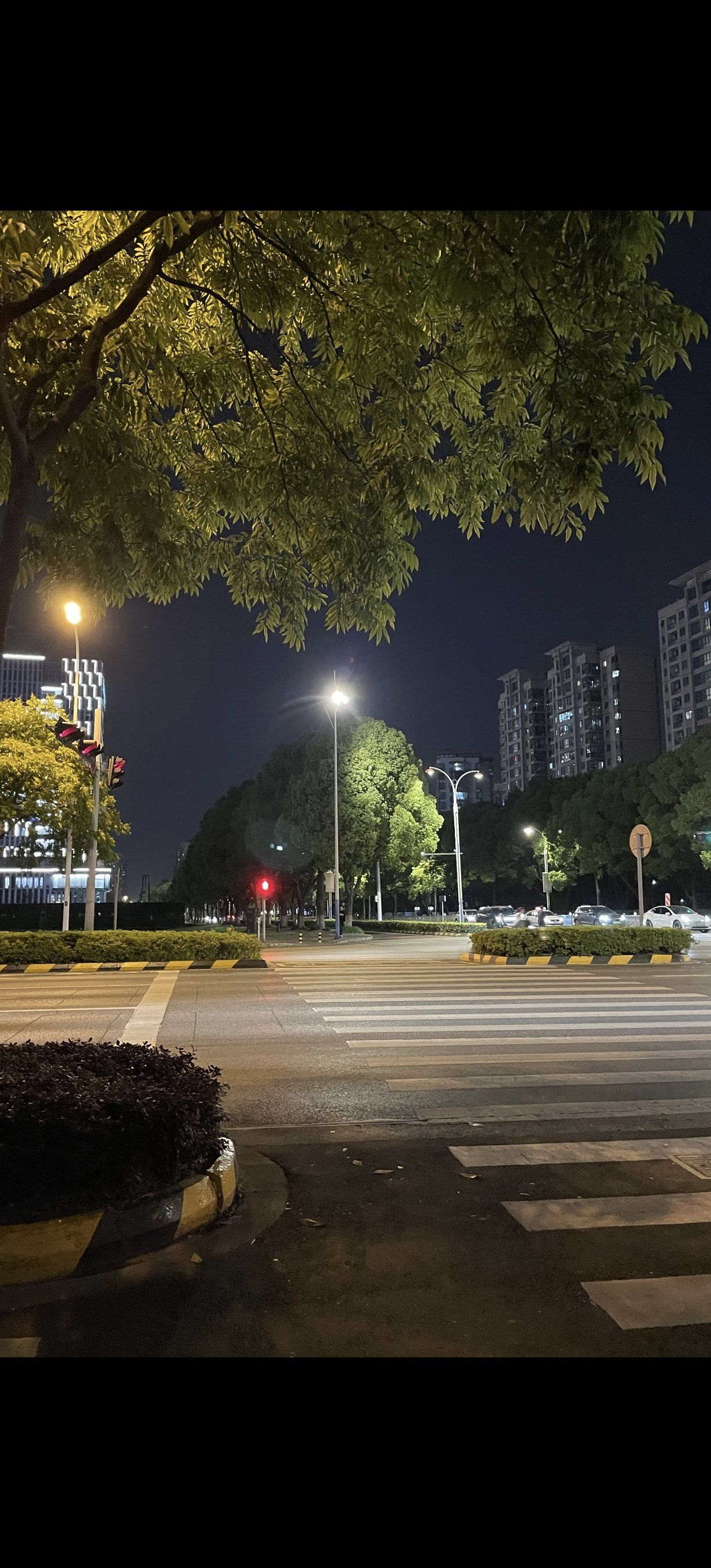 天天领红包喜欢一个人晚上溜着马路,欣赏