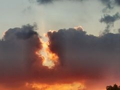 -浦江镇(地铁站)