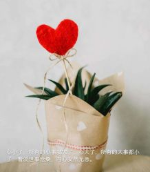 -苏彩·皮肤管理美甲美睫