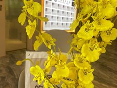 -劲松口腔医院(蓝色港湾院)