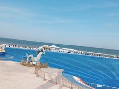 -碧海银沙景区