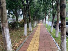 -艾溪湖湿地公园