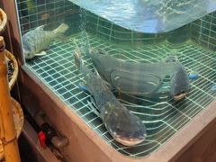 -老海陵·泰州菜(图书馆店)